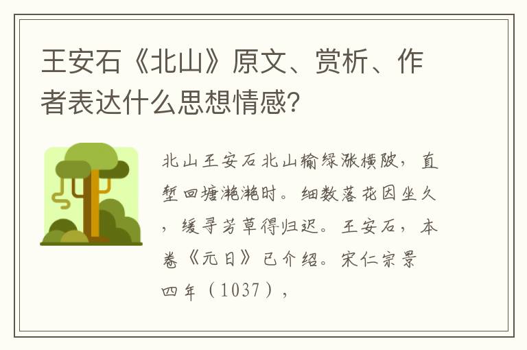  王安石《北山》原文、赏析、作者表达什么思想情感？