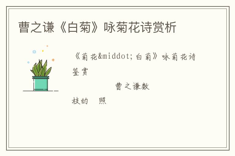  曹之谦《白菊》咏菊花诗赏析