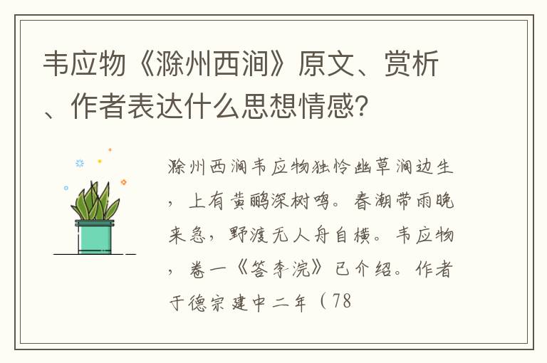  韦应物《滁州西涧》原文、赏析、作者表达什么思想情感？