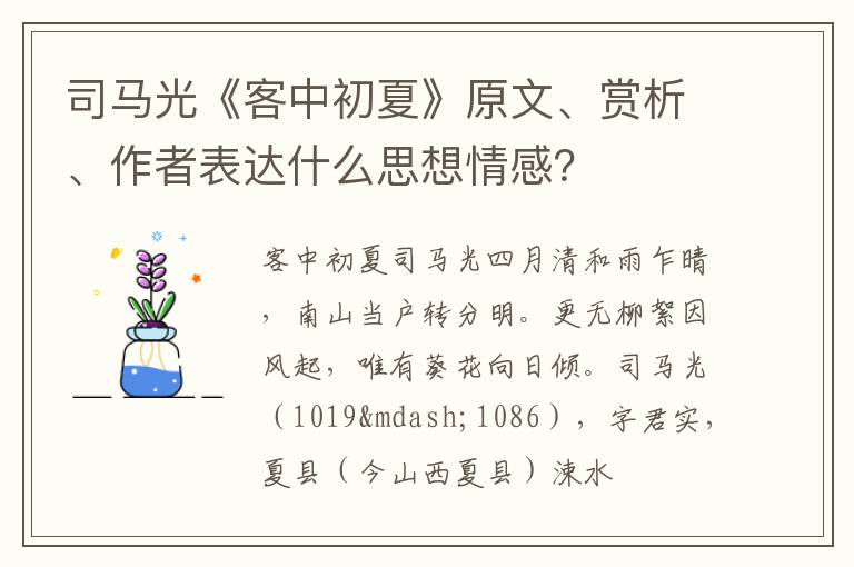  司马光《客中初夏》原文、赏析、作者表达什么思想情感？