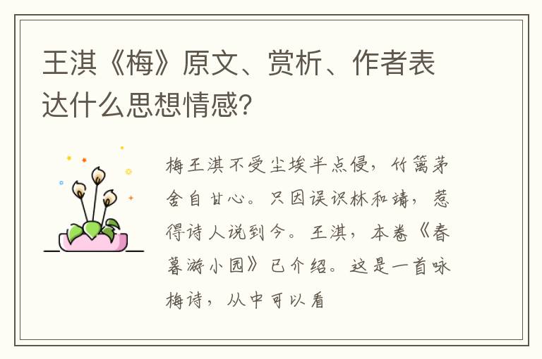  王淇《梅》原文、赏析、作者表达什么思想情感？