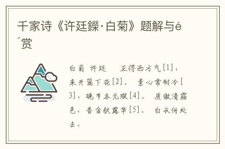  千家诗《许廷鑅·白菊》题解与鉴赏