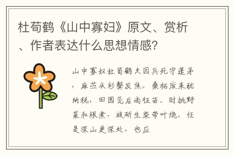  杜荀鹤《山中寡妇》原文、赏析、作者表达什么思想情感？