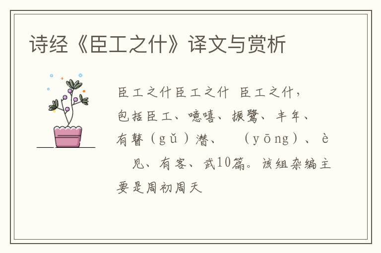  诗经《臣工之什》译文与赏析