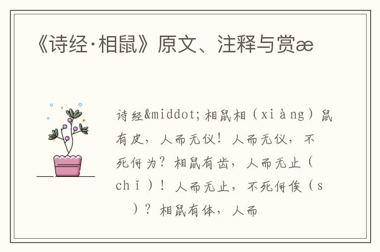  《诗经·相鼠》原文、注释与赏析
