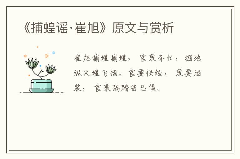  《捕蝗谣·崔旭》原文与赏析