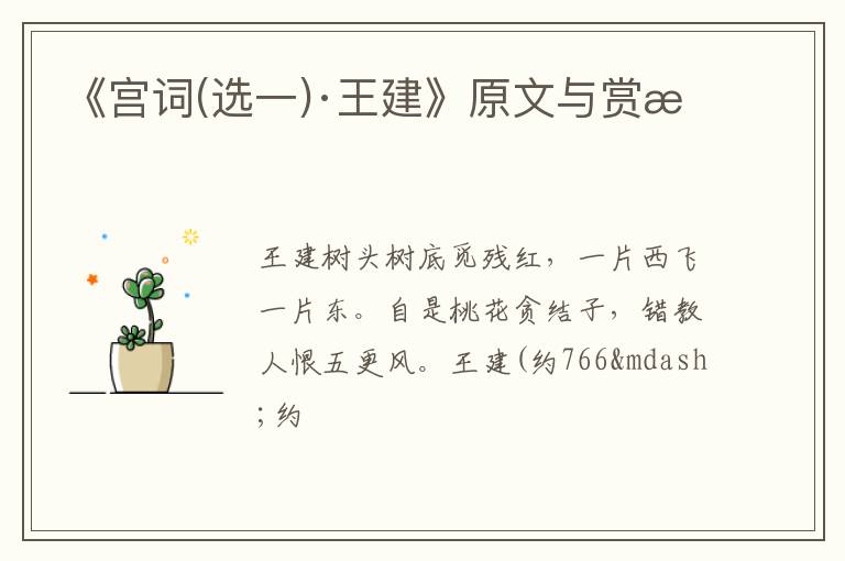  《宫词(选一)·王建》原文与赏析