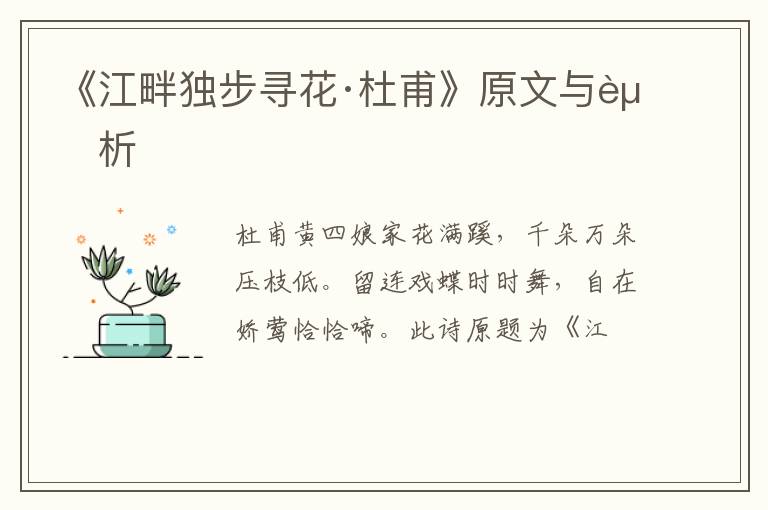  《江畔独步寻花·杜甫》原文与赏析