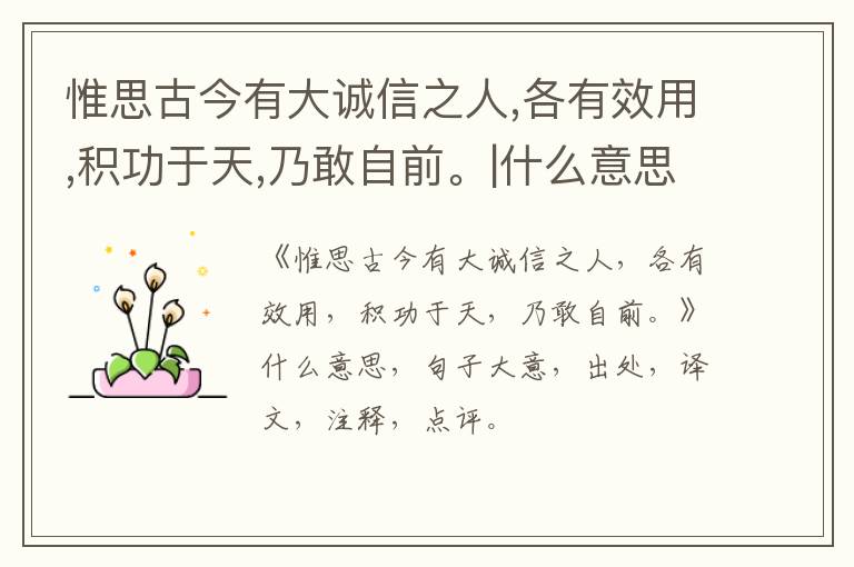  惟思古今有大诚信之人,各有效用,积功于天,乃敢自前。|什么意思|大意|注释|出处|译文