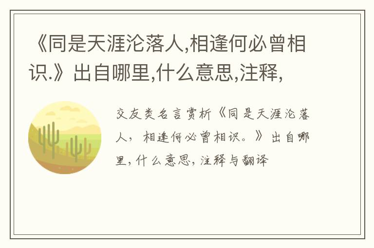  《同是天涯沦落人,相逢何必曾相识.》出自哪里,什么意思,注释,句意,翻译