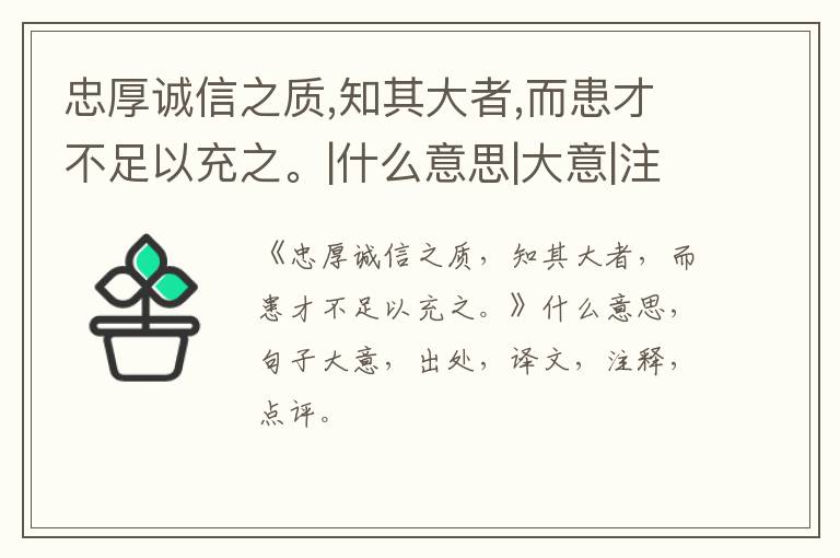  忠厚诚信之质,知其大者,而患才不足以充之。|什么意思|大意|注释|出处|译文