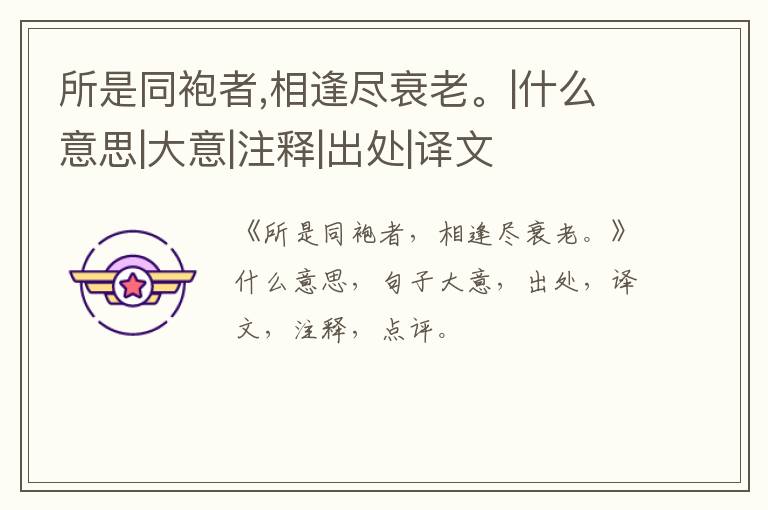 所是同袍者,相逢尽衰老。|什么意思|大意|注释|出处|译文
