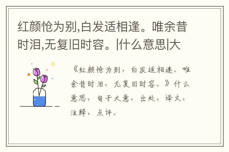  红颜怆为别,白发适相逢。唯余昔时泪,无复旧时容。|什么意思|大意|注释|出处|译文
