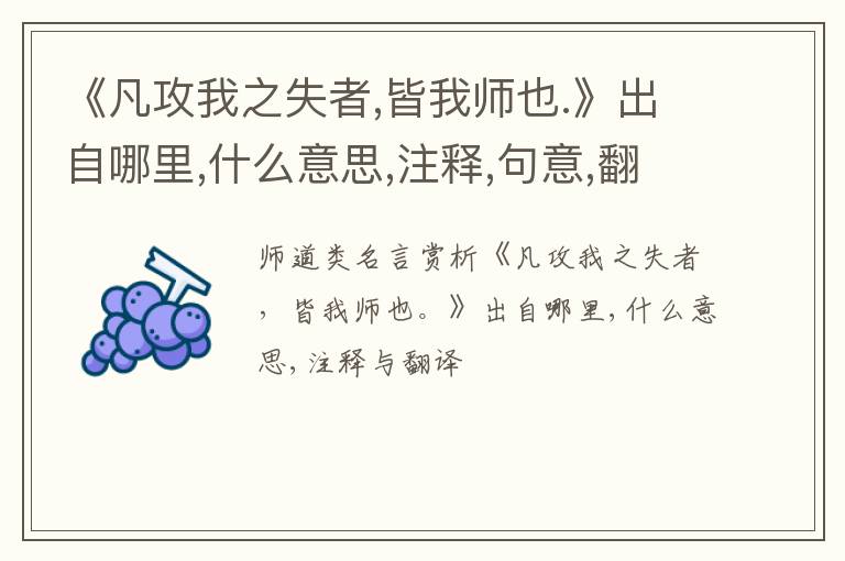 《凡攻我之失者,皆我师也.》出自哪里,什么意思,注释,句意,翻译