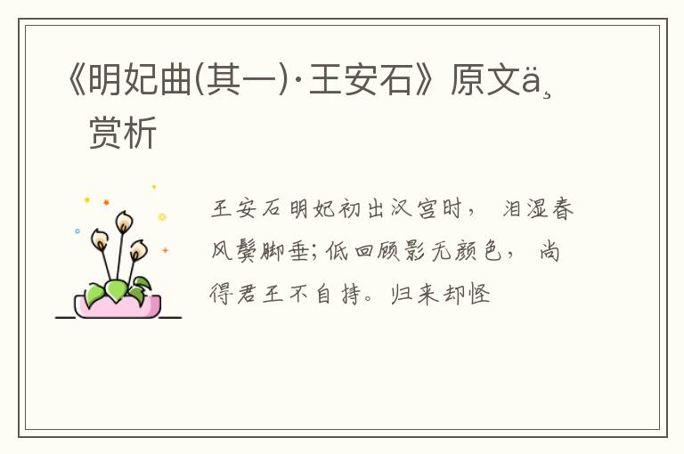  《明妃曲(其一)·王安石》原文与赏析