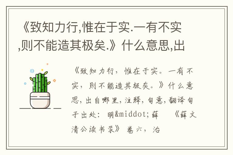  《致知力行,惟在于实.一有不实,则不能造其极矣.》什么意思,出自哪里,注释,句意,翻译