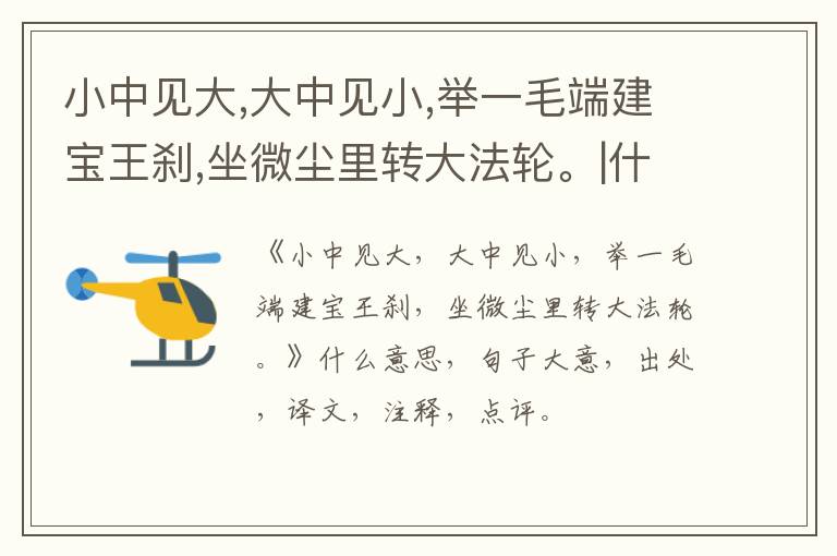  小中见大,大中见小,举一毛端建宝王刹,坐微尘里转大法轮。|什么意思|大意|注释|出处|译文