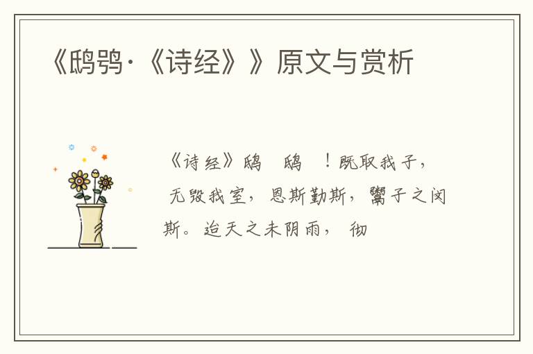  《鸱鸮·《诗经》》原文与赏析