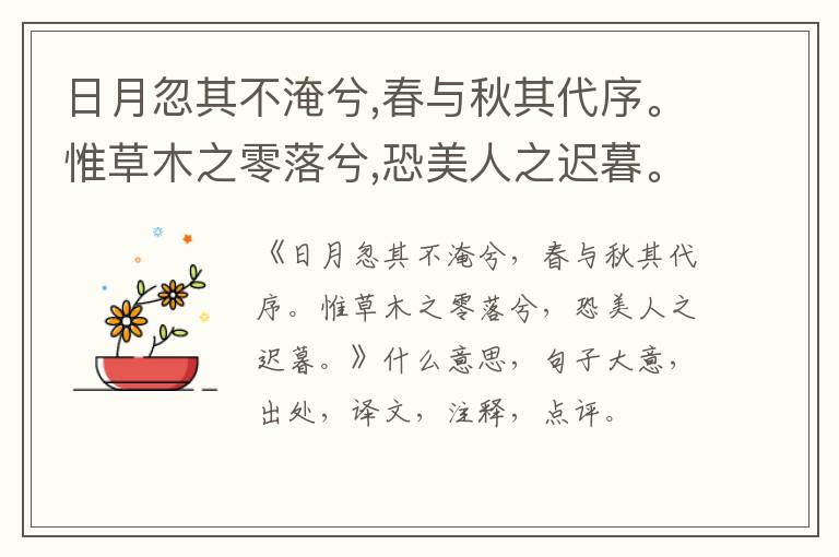 日月忽其不淹兮,春与秋其代序。惟草木之零落兮,恐美人之迟暮。|什么意思|大意|注释|出