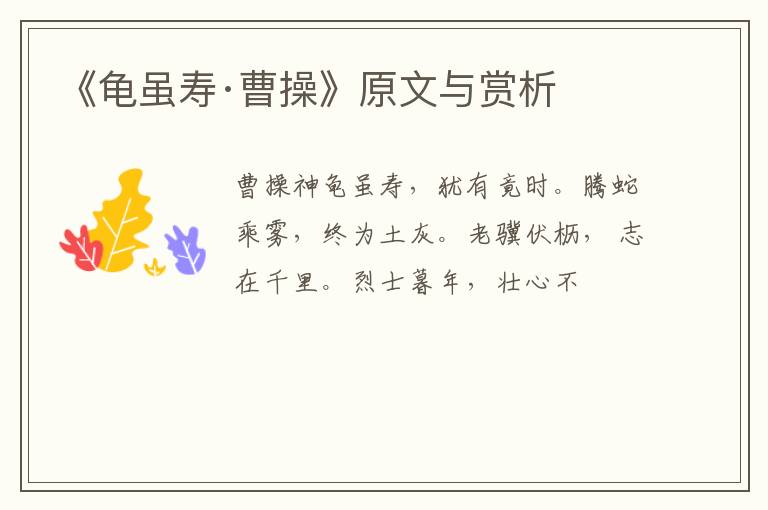  《龟虽寿·曹操》原文与赏析