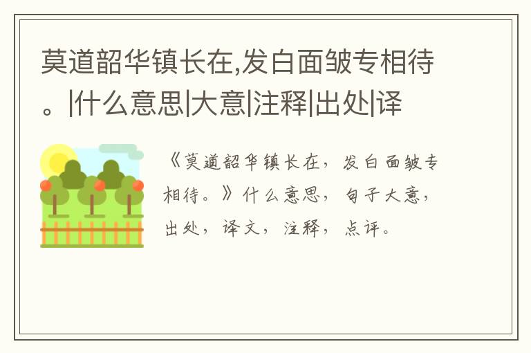  莫道韶华镇长在,发白面皱专相待。|什么意思|大意|注释|出处|译文