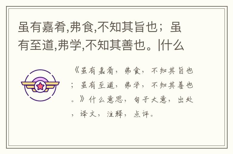  虽有嘉肴,弗食,不知其旨也；虽有至道,弗学,不知其善也。|什么意思|大意|注释|出处|译文
