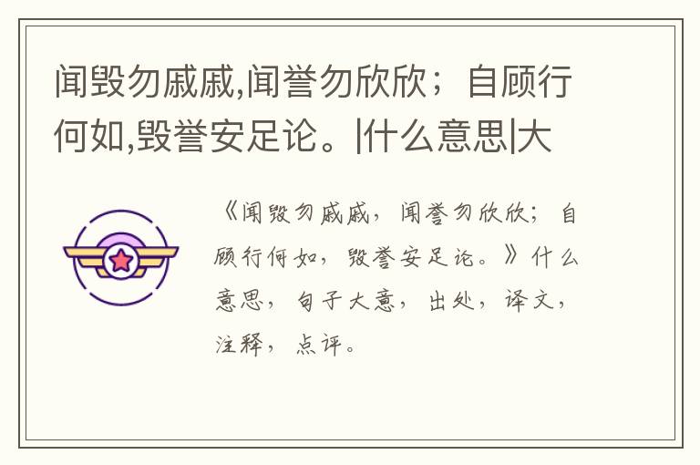  闻毁勿戚戚,闻誉勿欣欣；自顾行何如,毁誉安足论。|什么意思|大意|注释|出处|译文