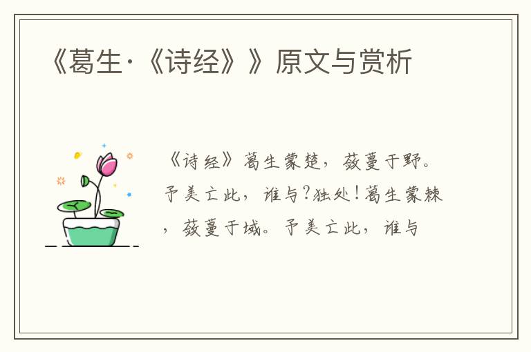  《葛生·《诗经》》原文与赏析
