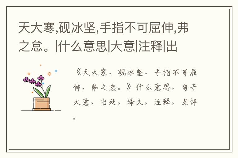  天大寒,砚冰坚,手指不可屈伸,弗之怠。|什么意思|大意|注释|出处|译文