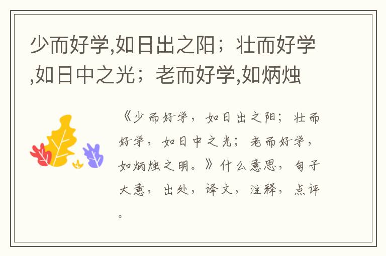  少而好学,如日出之阳；壮而好学,如日中之光；老而好学,如炳烛之明。|什么意思|大意|注