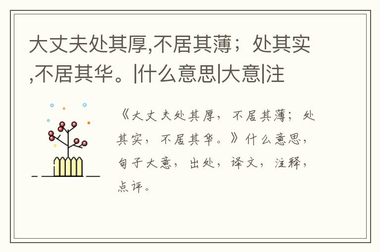  大丈夫处其厚,不居其薄；处其实,不居其华。|什么意思|大意|注释|出处|译文