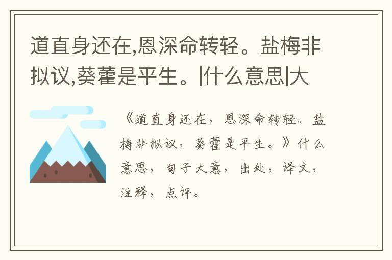  道直身还在,恩深命转轻。盐梅非拟议,葵藿是平生。|什么意思|大意|注释|出处|译文
