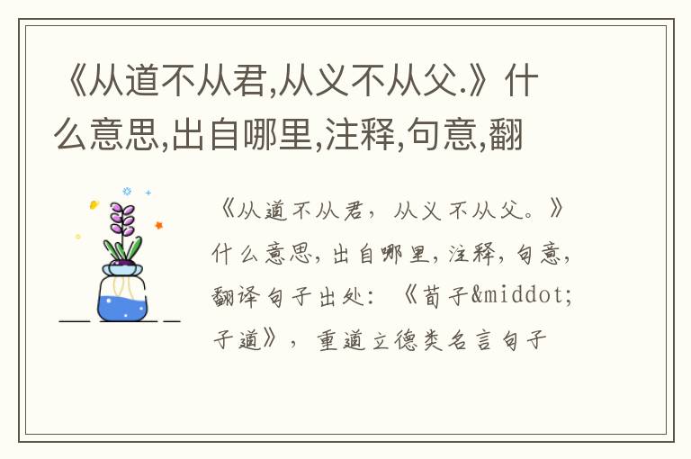  《从道不从君,从义不从父.》什么意思,出自哪里,注释,句意,翻译