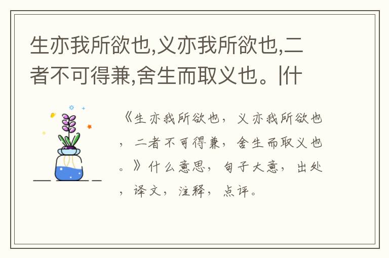  生亦我所欲也,义亦我所欲也,二者不可得兼,舍生而取义也。|什么意思|大意|注释|出处|译文