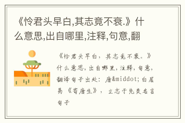  《怜君头早白,其志竟不衰.》什么意思,出自哪里,注释,句意,翻译