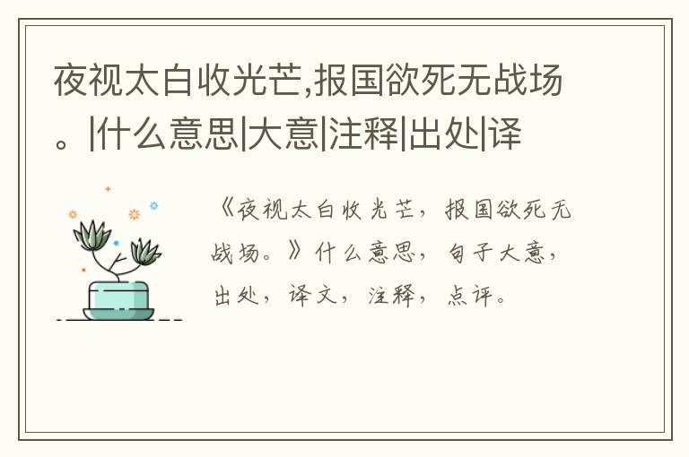  夜视太白收光芒,报国欲死无战场。|什么意思|大意|注释|出处|译文