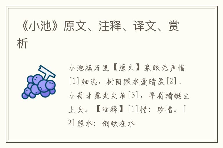  《小池》原文、注释、译文、赏析