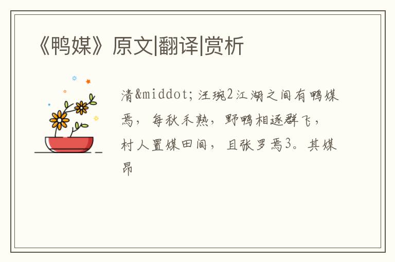  《鸭媒》原文|翻译|赏析