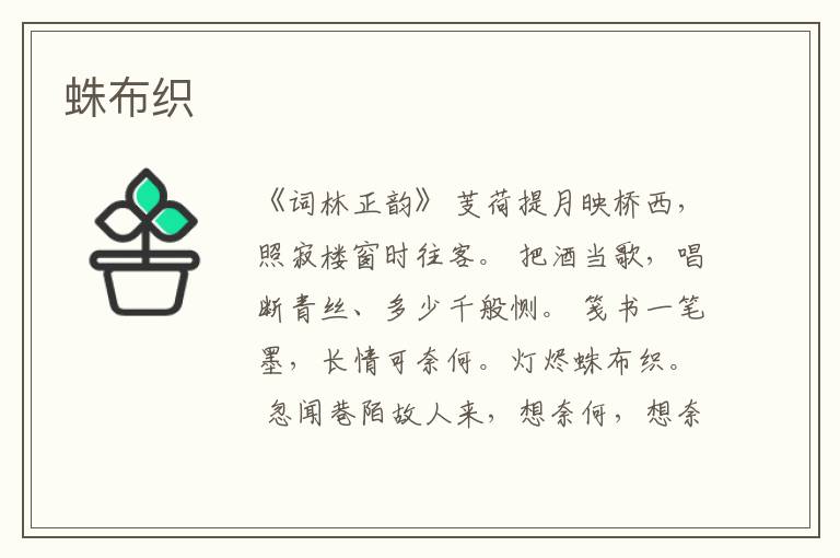  蛛布织