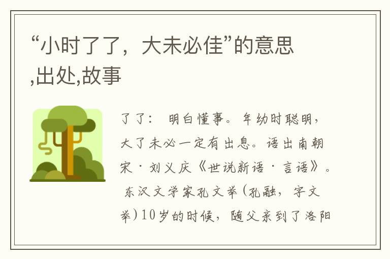  “小时了了，大未必佳”的意思,出处,故事