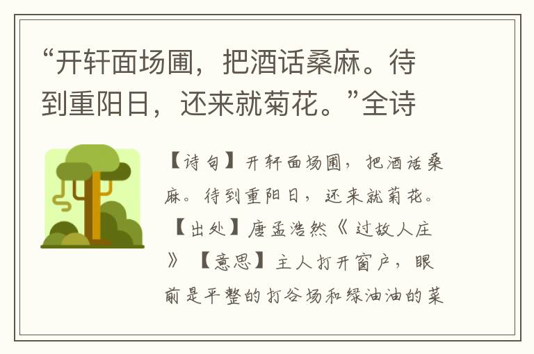 “开轩面场圃,把酒话桑麻。待到重阳日,还来就菊花。”全诗,翻译,意思,上一句和下一句
