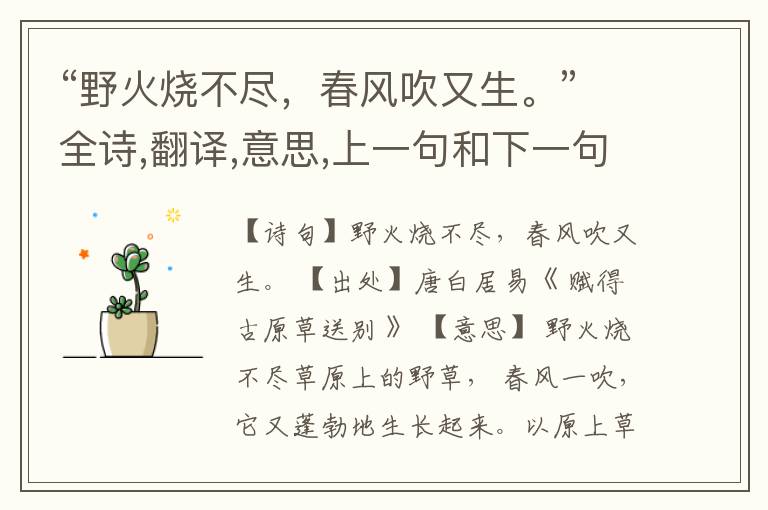 “野火烧不尽,春风吹又生。”全诗,翻译,意思,上一句和下一句