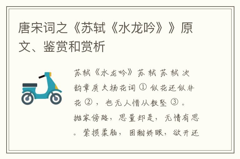  唐宋词之《苏轼《水龙吟》》原文、鉴赏和赏析