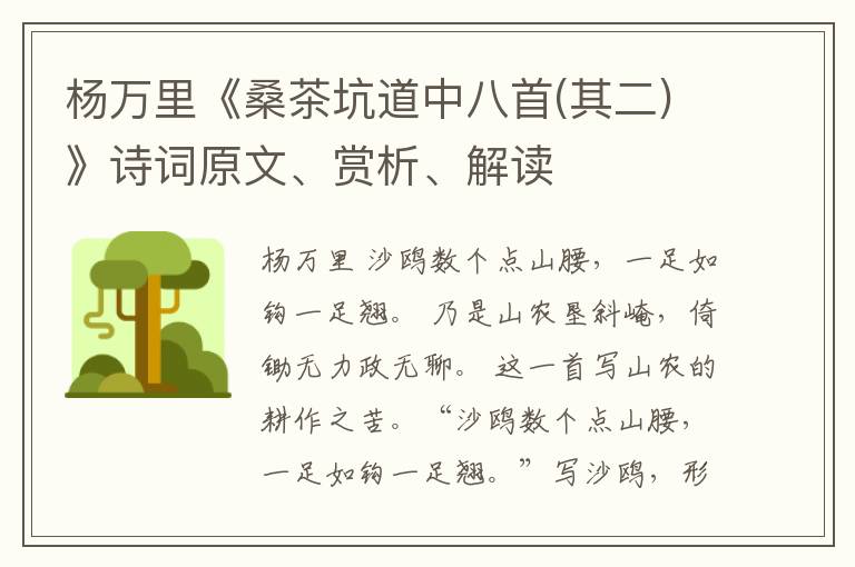  杨万里《桑茶坑道中八首(其二)》诗词原文、赏析、解读