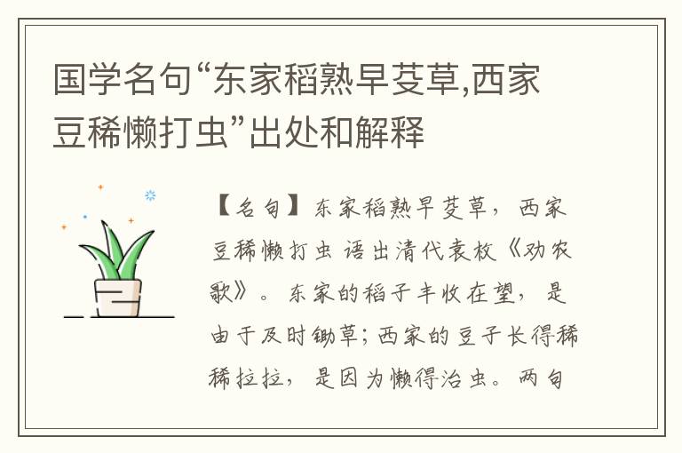  国学名句“东家稻熟早芟草,西家豆稀懒打虫”出处和解释