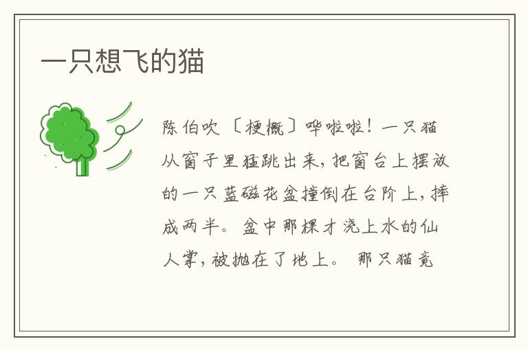  一只想飞的猫