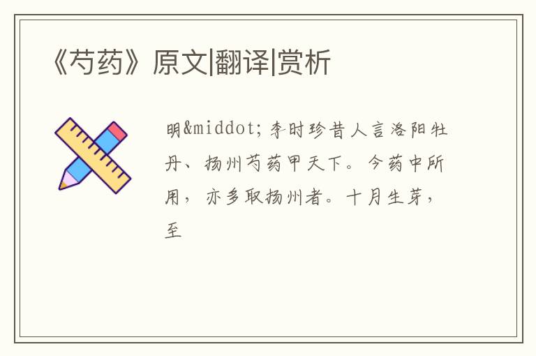  《芍药》原文|翻译|赏析