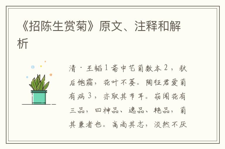  《招陈生赏菊》原文、注释和解析