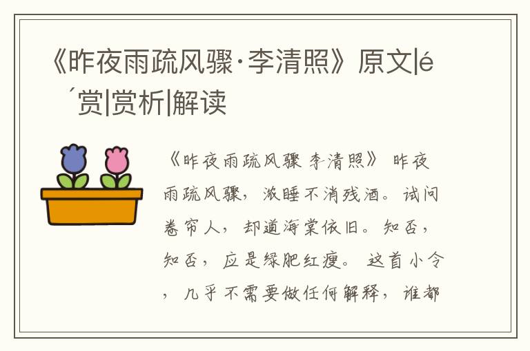  《昨夜雨疏风骤·李清照》原文|鉴赏|赏析|解读