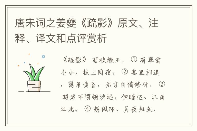  唐宋词之姜夔《疏影》原文、注释、译文和点评赏析